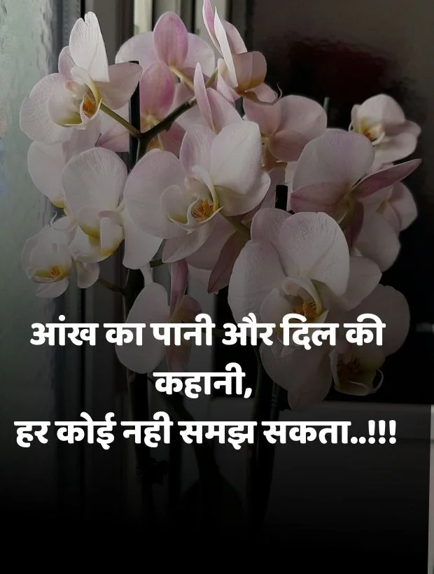  good morning love shayari images